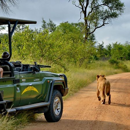 Kruger Safari Lodge Manyeleti Game Reserve Eksteriør billede