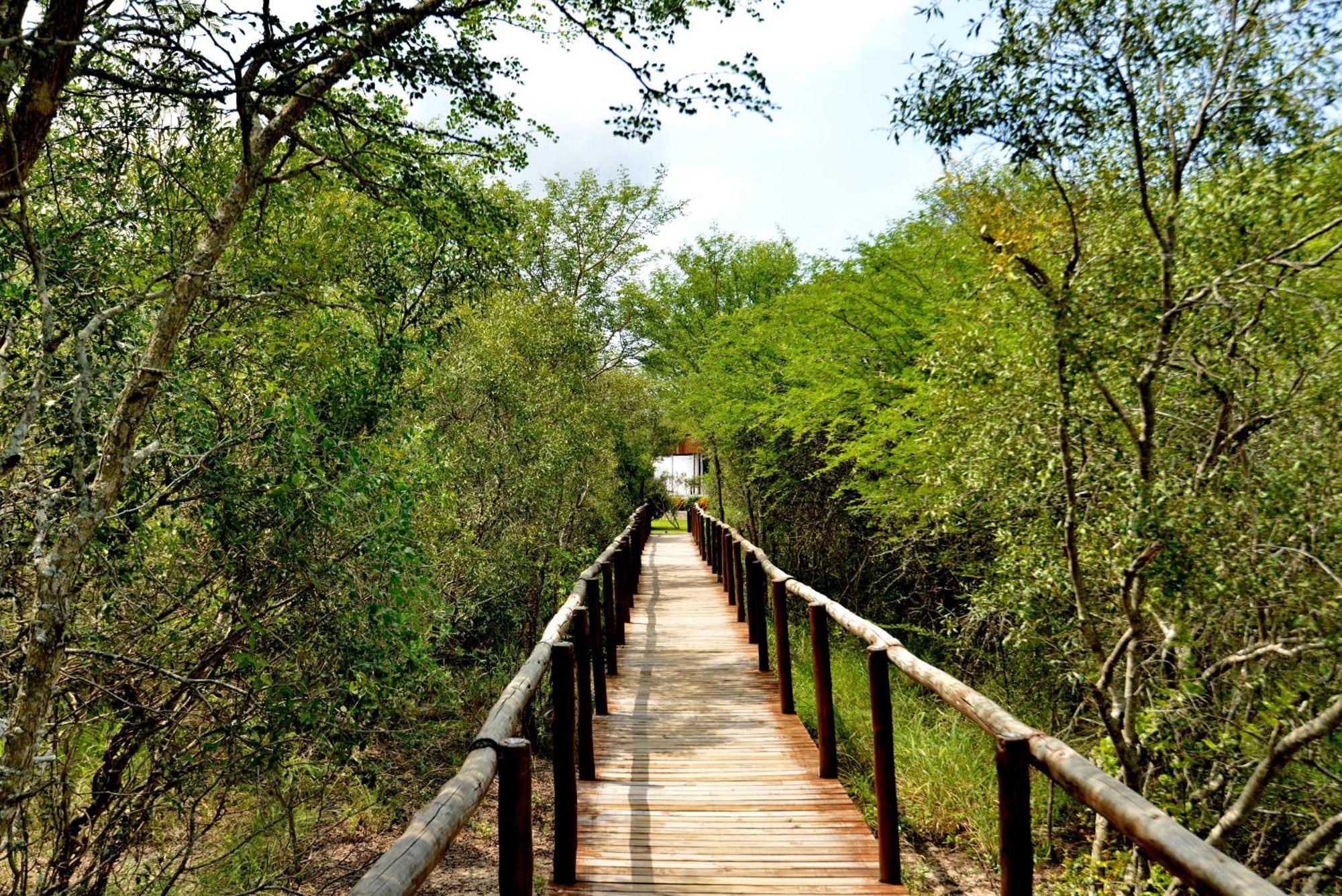 Kruger Safari Lodge Manyeleti Game Reserve Eksteriør billede