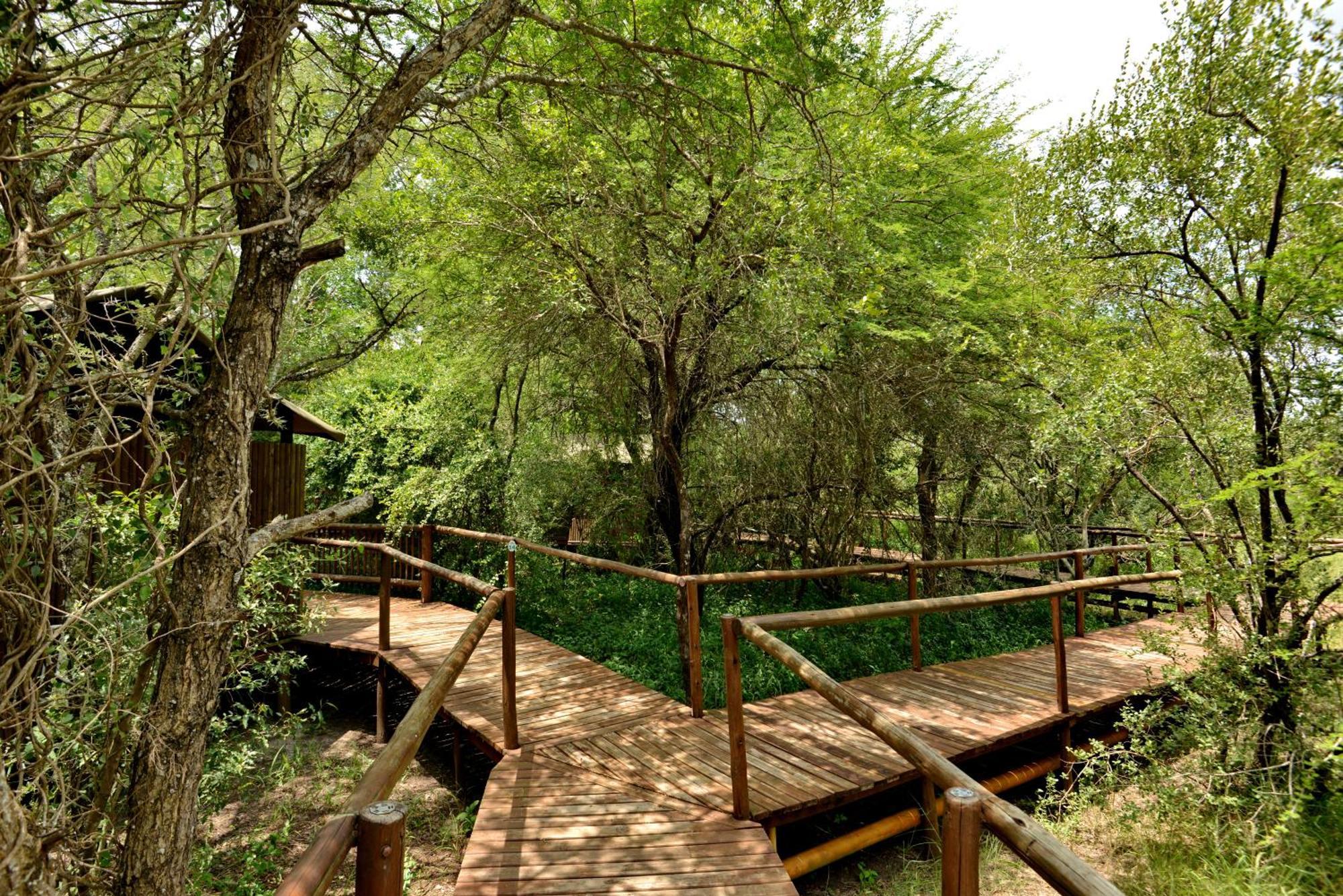 Kruger Safari Lodge Manyeleti Game Reserve Eksteriør billede