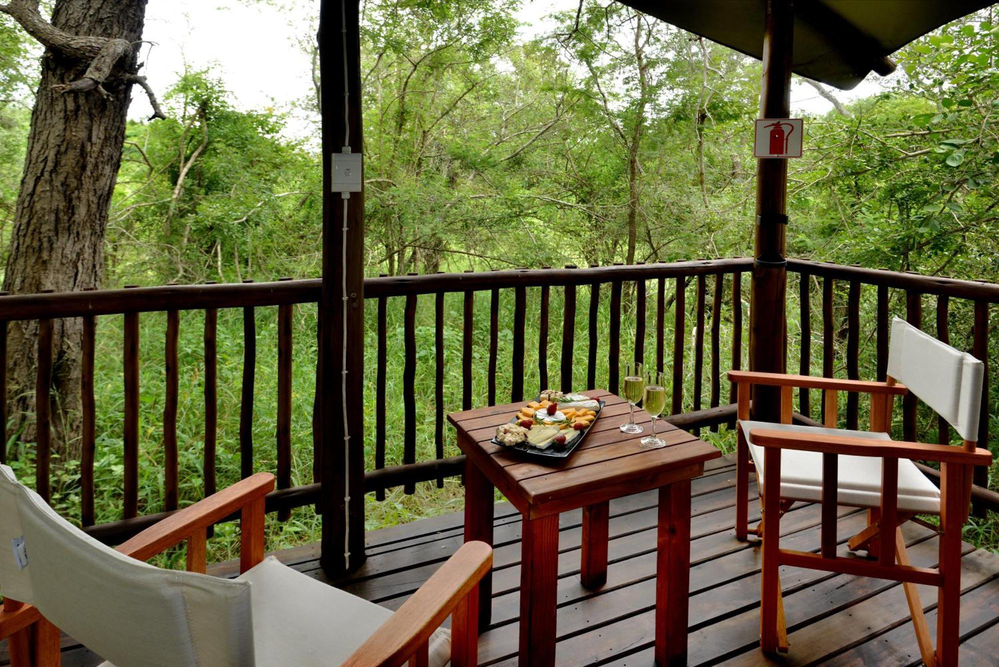 Kruger Safari Lodge Manyeleti Game Reserve Eksteriør billede