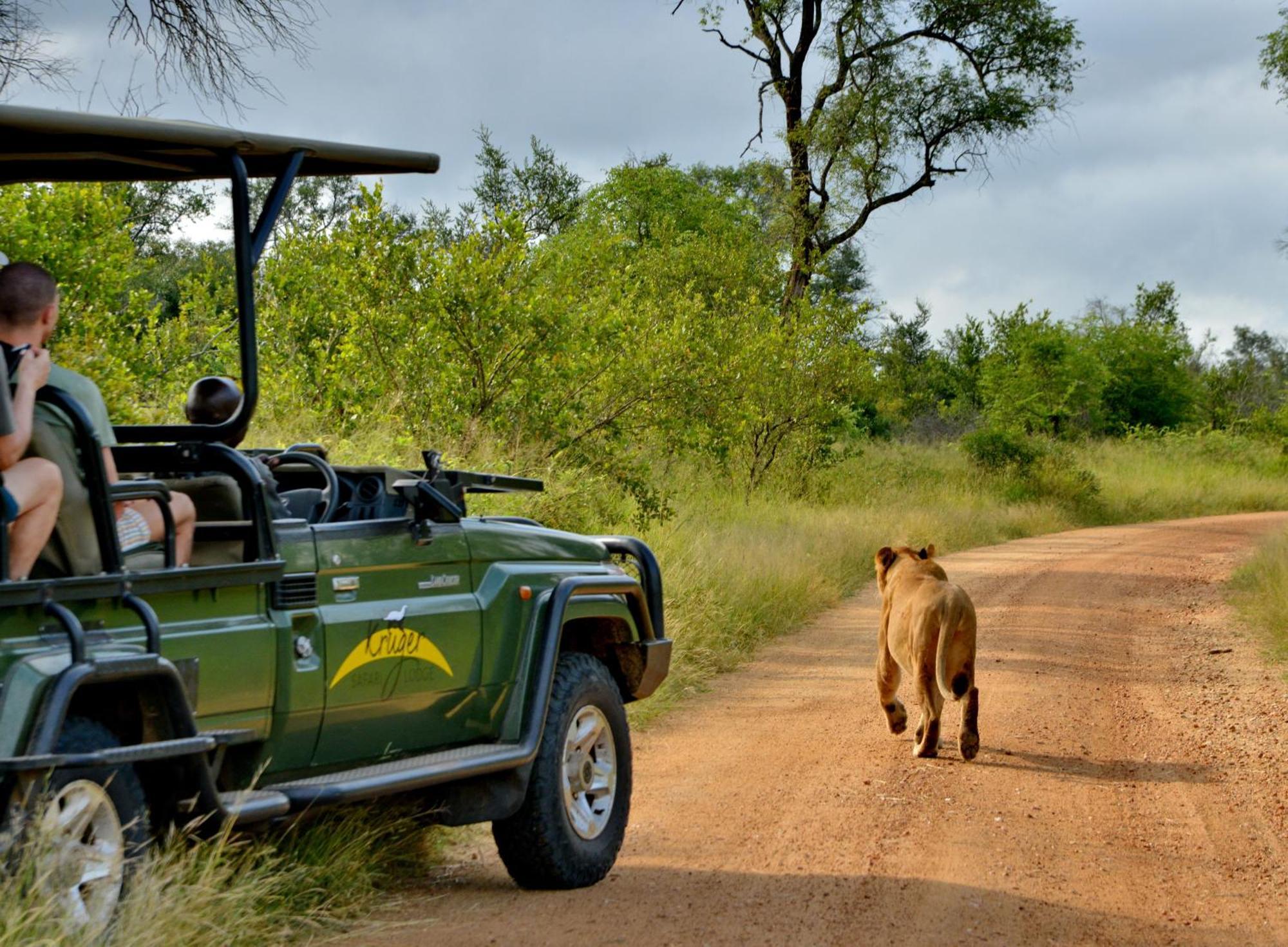 Kruger Safari Lodge Manyeleti Game Reserve Eksteriør billede